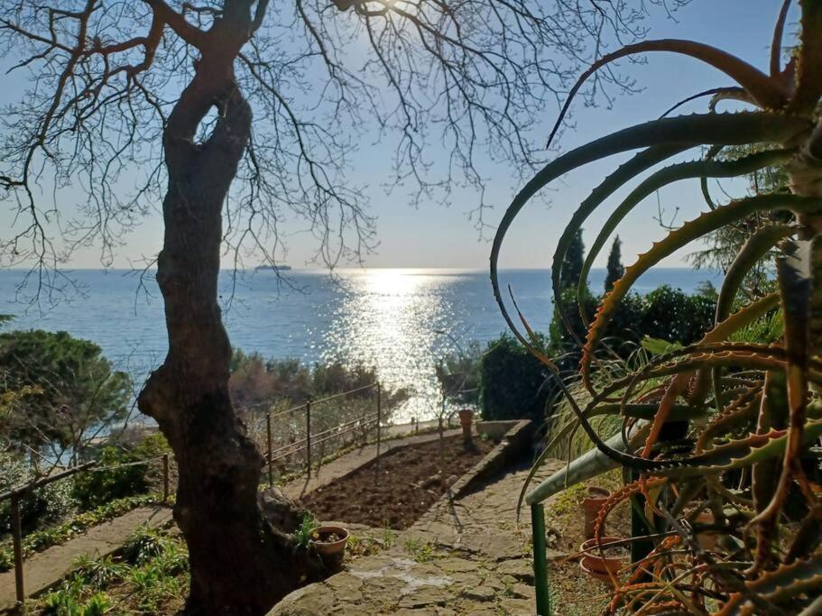 Brezza Marina - Appartamento In Villa Fronte Mare Триест Экстерьер фото